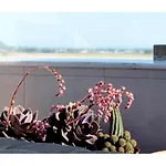 Casamarta2 Hébergement de vacances Conil De La Frontera